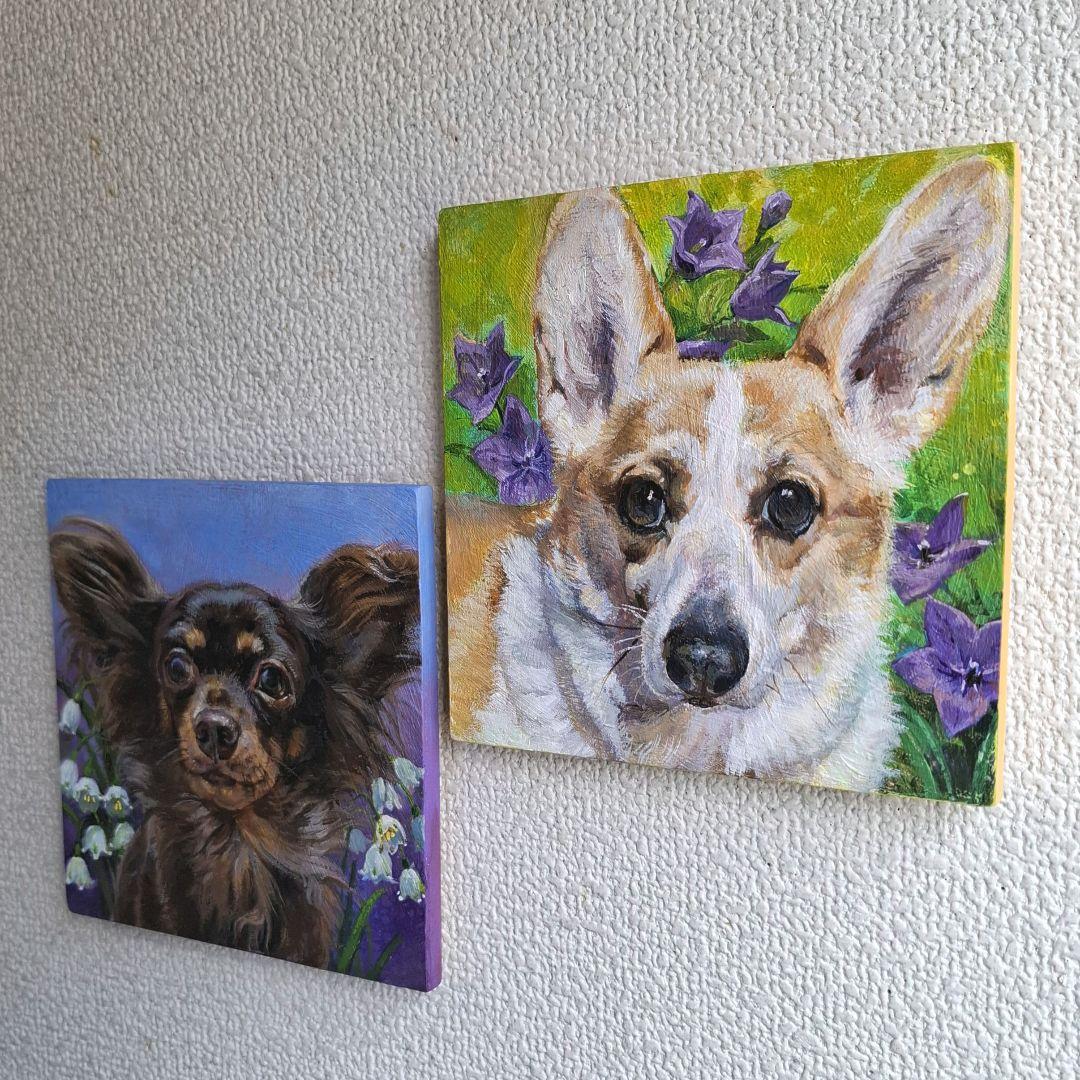 【T♡ちゃんページ】 ☆チワックスさんとコーギーさん☆