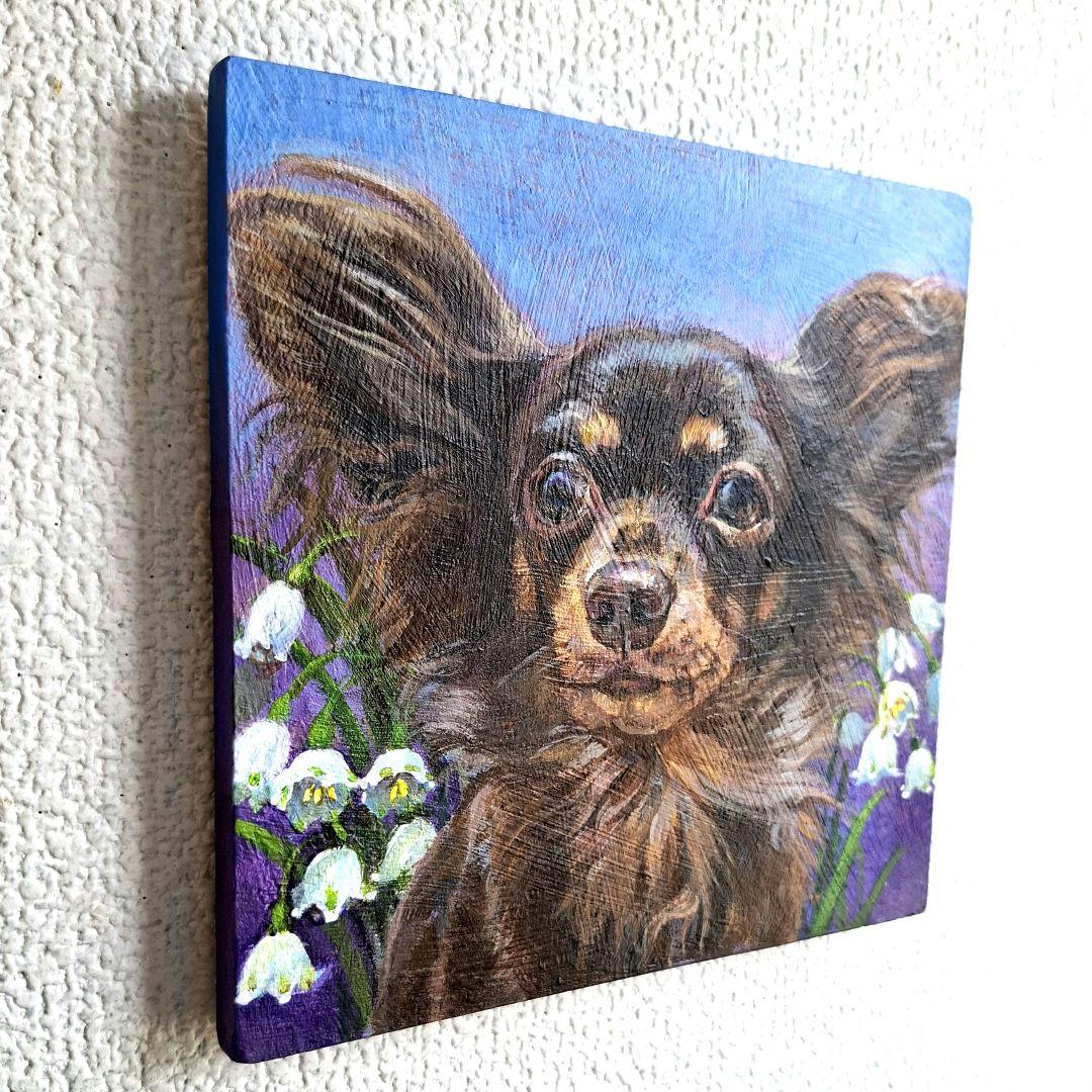 【T♡ちゃんページ】 ☆チワックスさんとコーギーさん☆