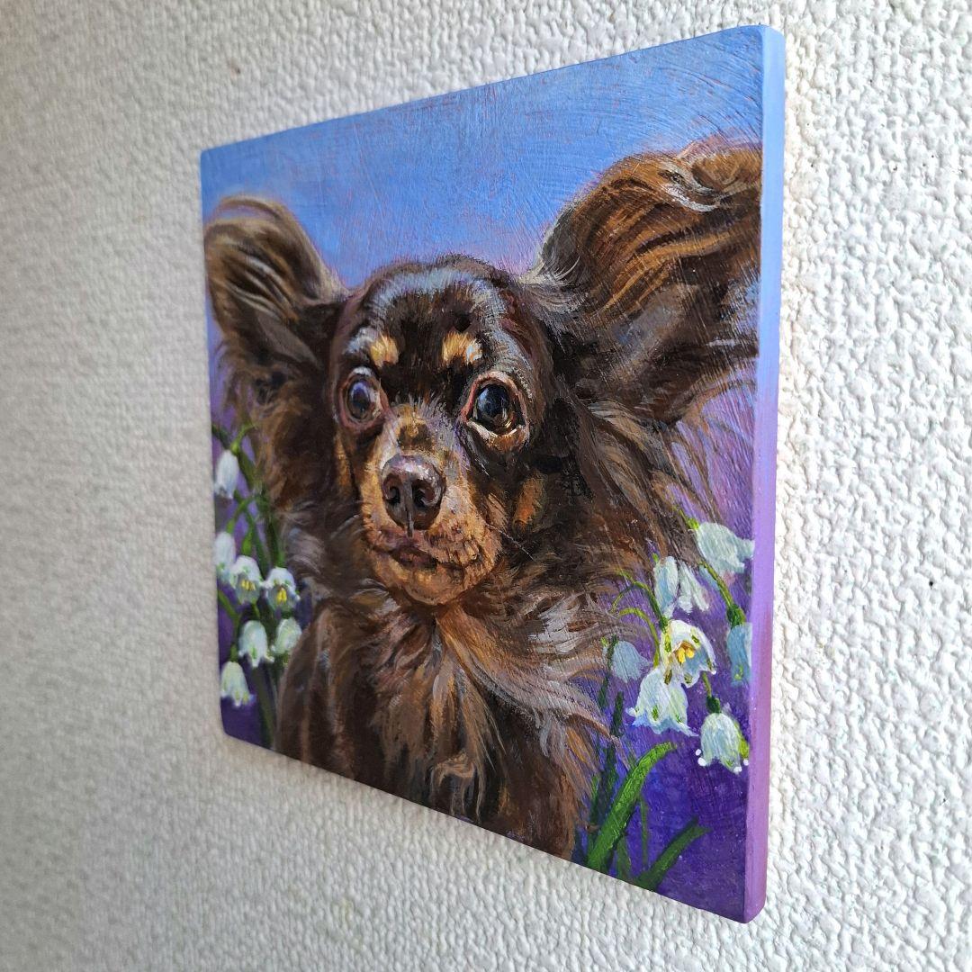 【T♡ちゃんページ】 ☆チワックスさんとコーギーさん☆