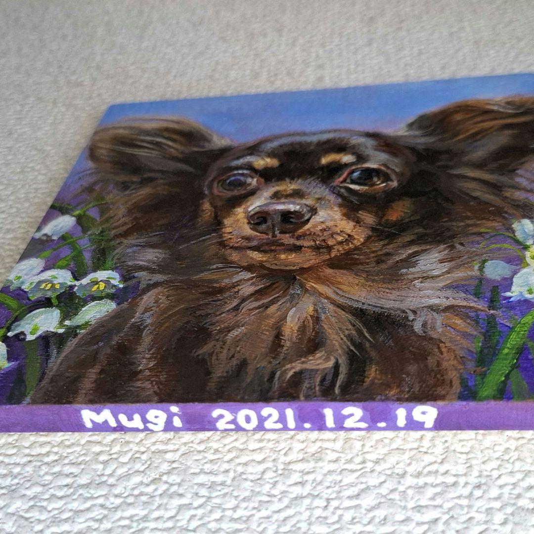 【T♡ちゃんページ】 ☆チワックスさんとコーギーさん☆