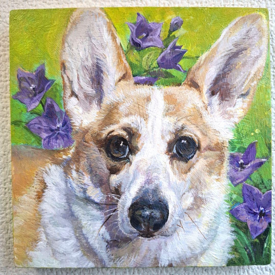 【T♡ちゃんページ】 ☆チワックスさんとコーギーさん☆