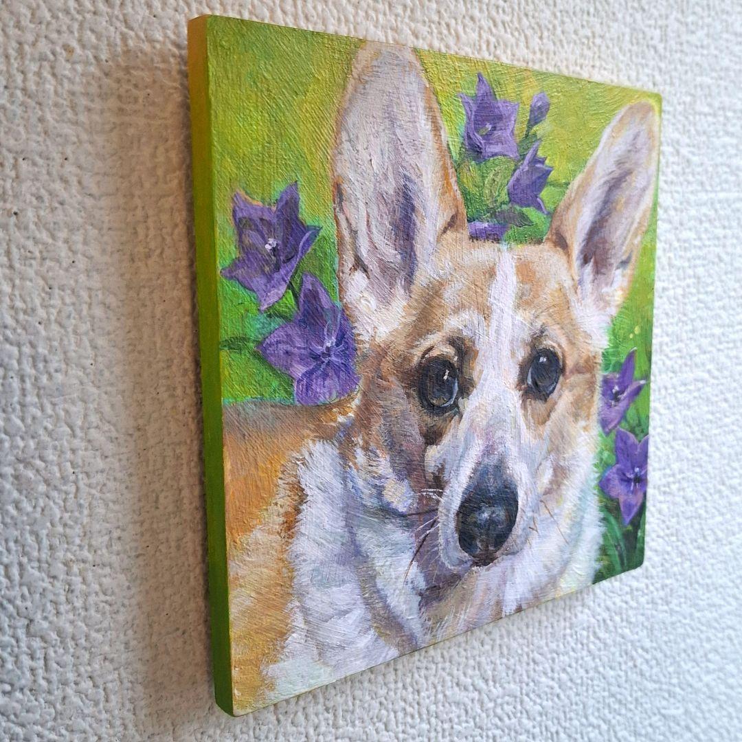 【T♡ちゃんページ】 ☆チワックスさんとコーギーさん☆