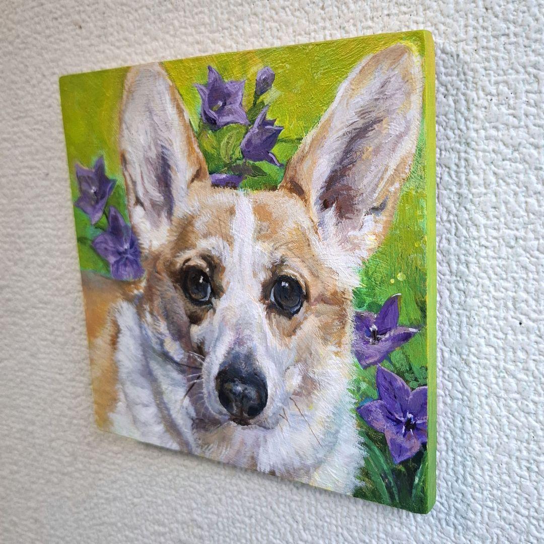 【T♡ちゃんページ】 ☆チワックスさんとコーギーさん☆