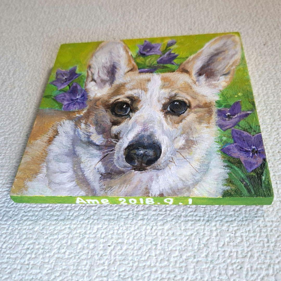 【T♡ちゃんページ】 ☆チワックスさんとコーギーさん☆