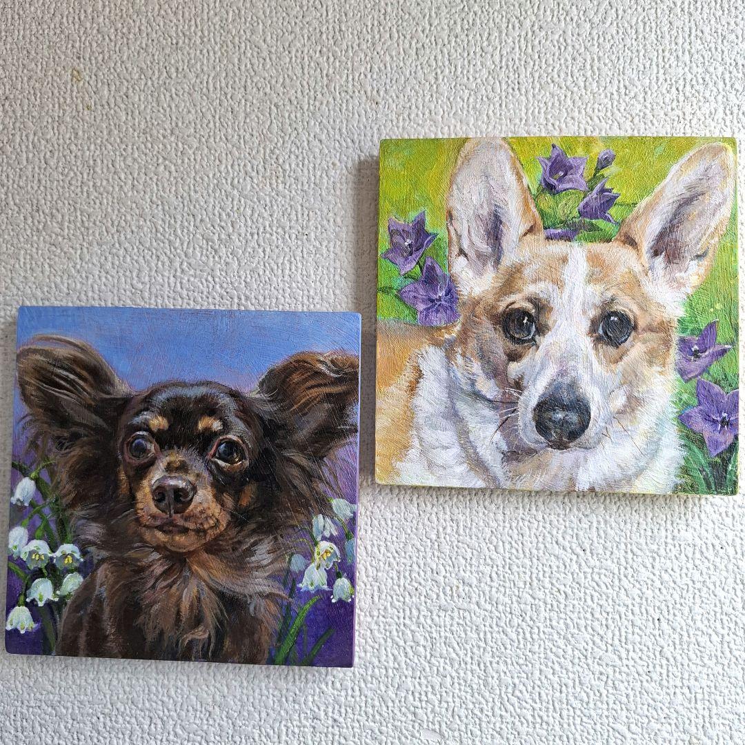 【T♡ちゃんページ】 ☆チワックスさんとコーギーさん☆