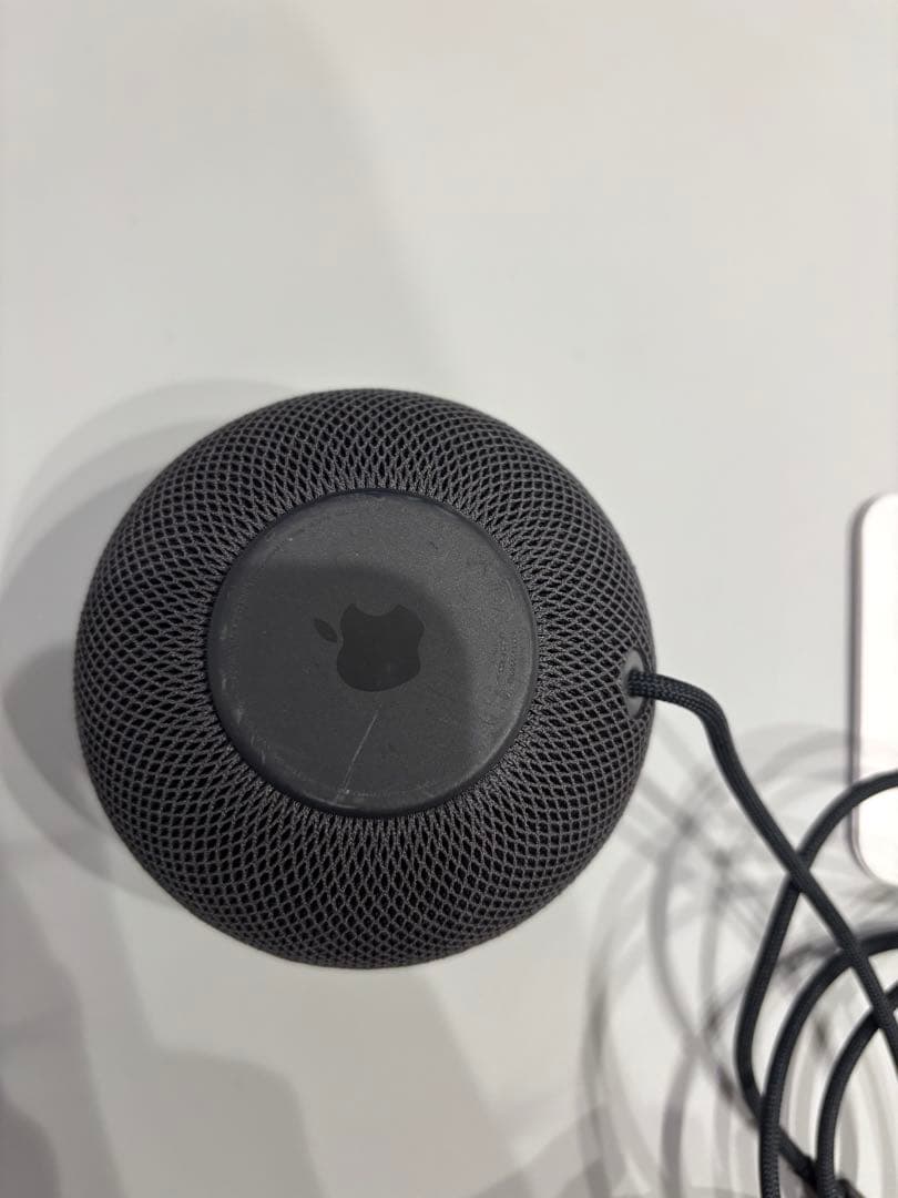 Apple Pod mini スペースグレー