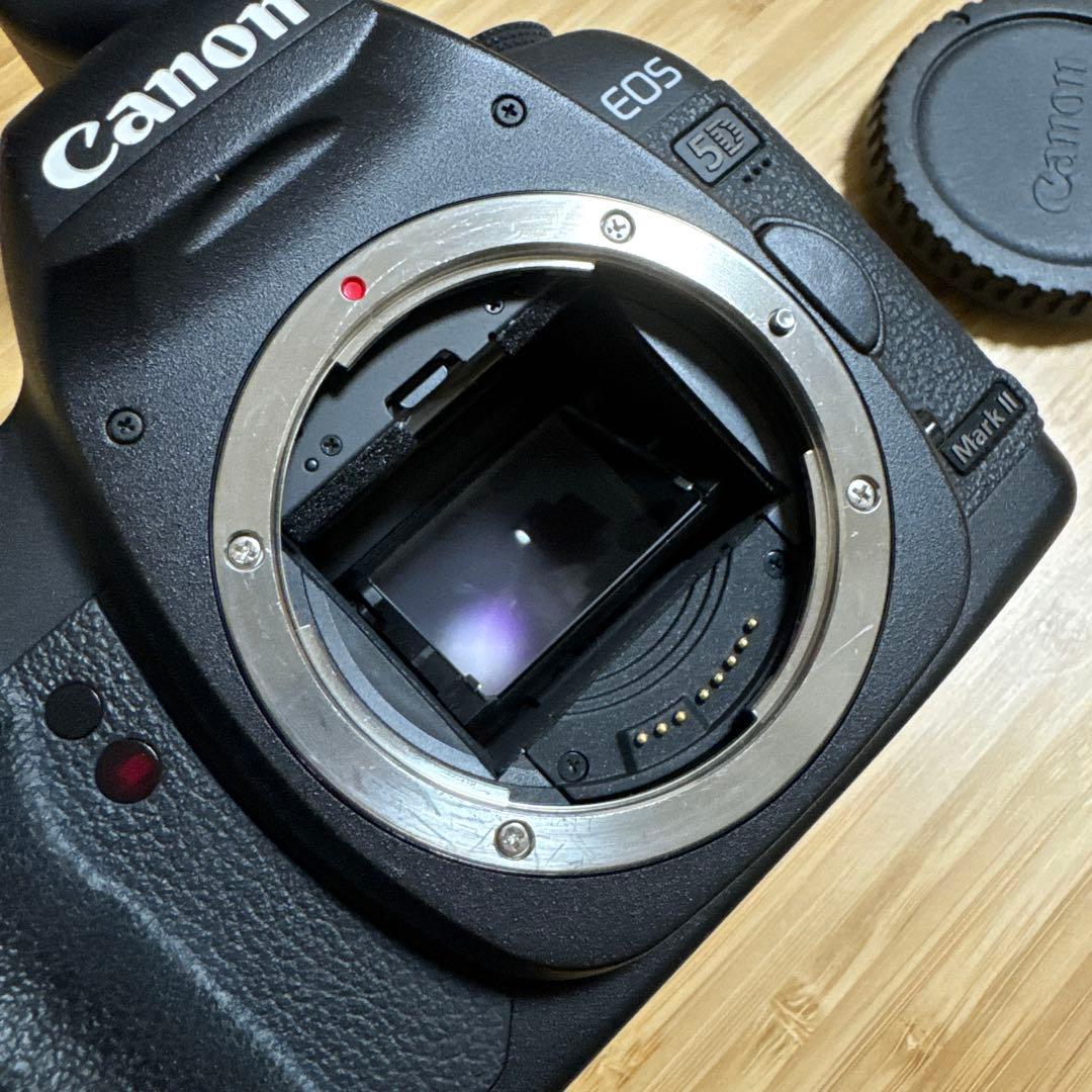 Canon デジタル一眼レフカメラ EOS 5D MarkII ボディ 良品