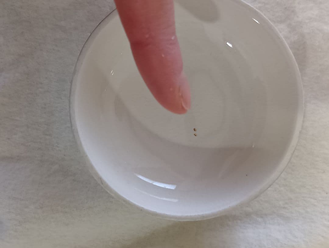 Mason's 陶器 キャニスター 茶壺（MADE in England）