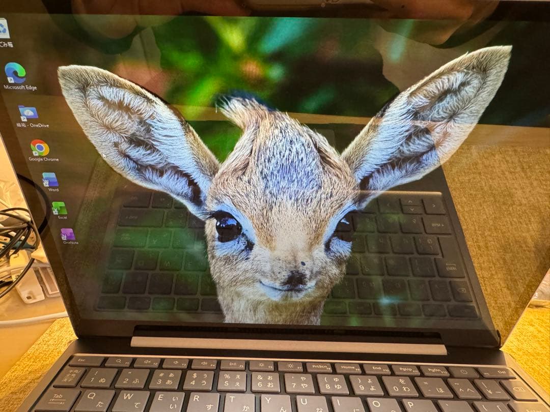 美品Surface laptop go 3 (i5/16GB/256GB)