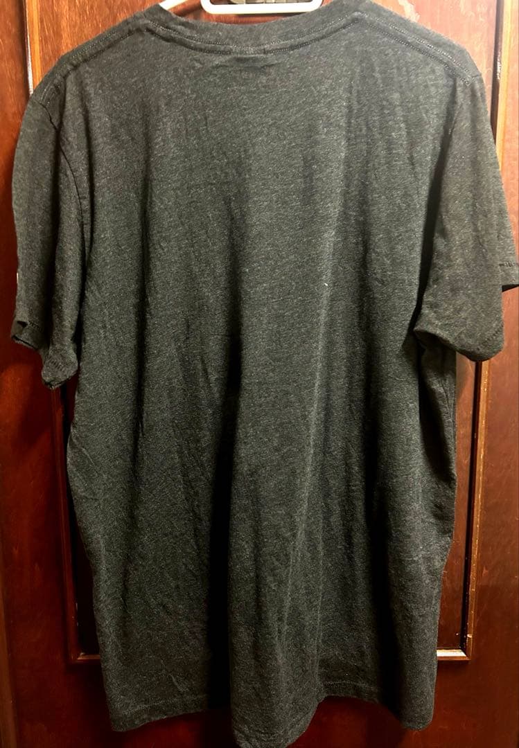 リック・フレアーRicFlair 90sビンテージTシャツ USA NWAWWE