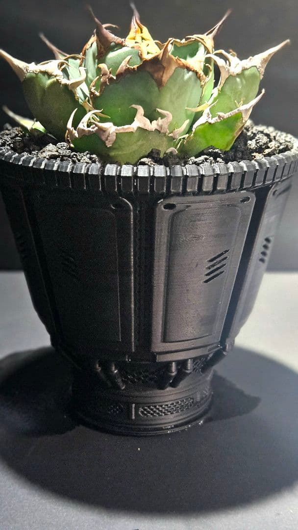 【鉢ごと】アガベ シーザー 3Dプリンター鉢セット