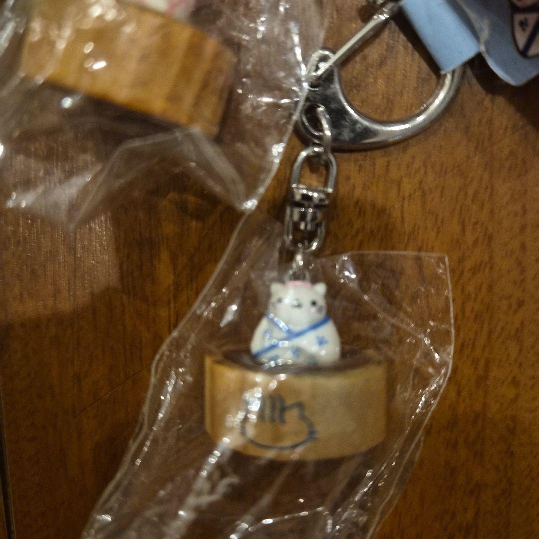 にゃんにゃんにゃんこ にゃんこ 温泉　キーホルダー