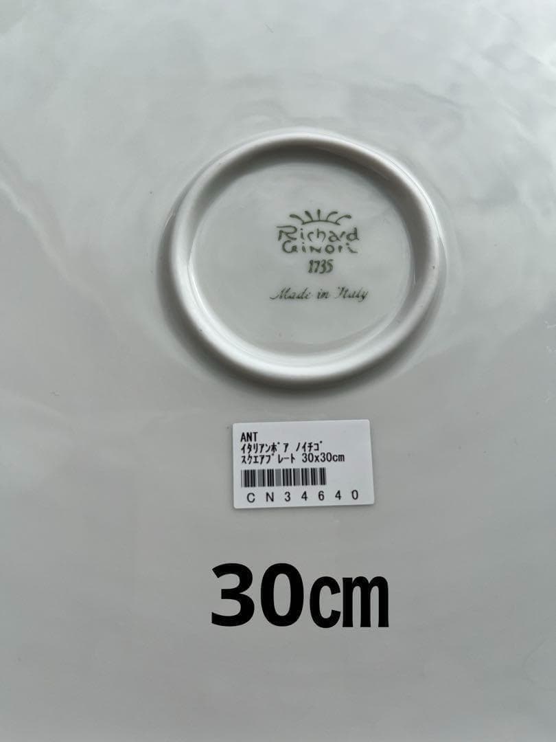 リチャードジノリ イタリアンポア / 野いちご（30㎝）