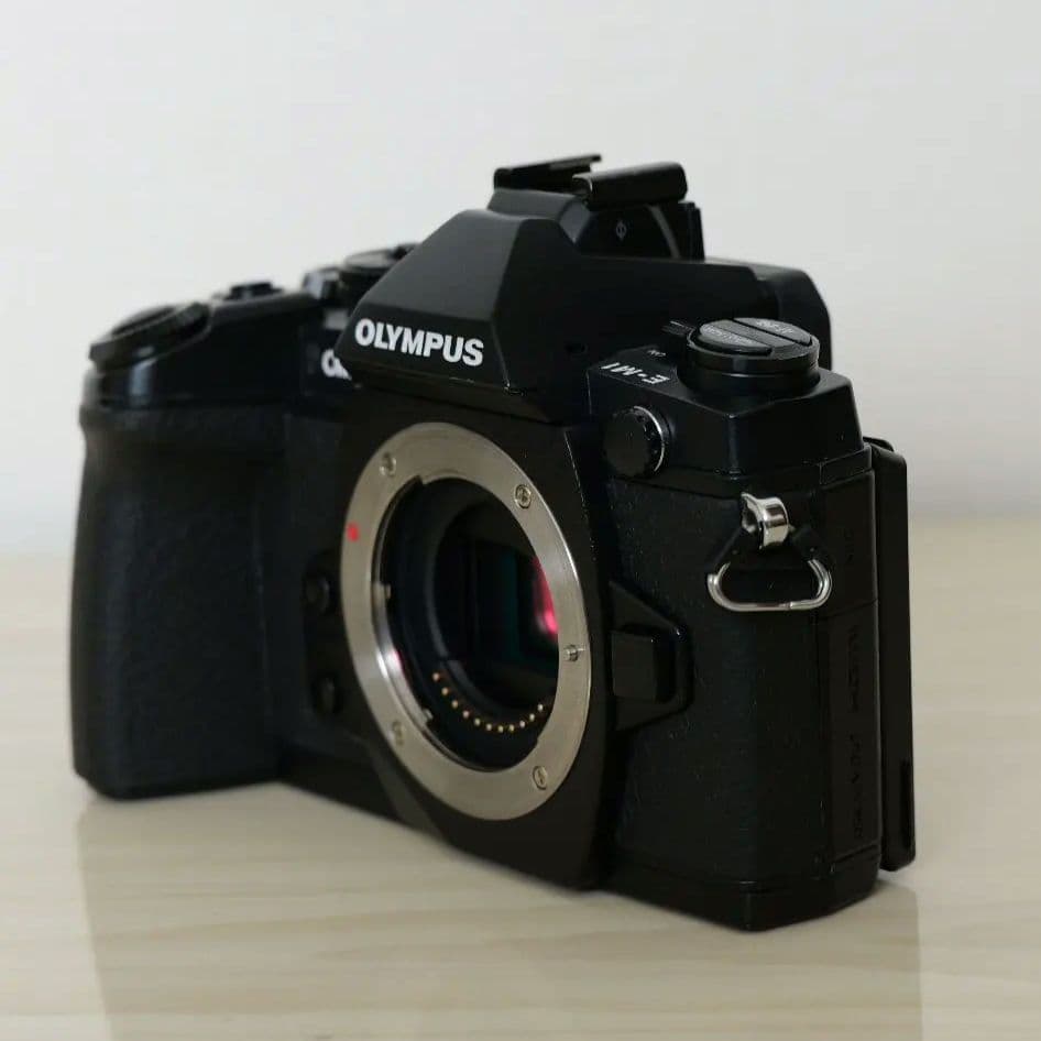 【僅か4602ショット】OLYMPUS OM-D E-M1 レンズキット