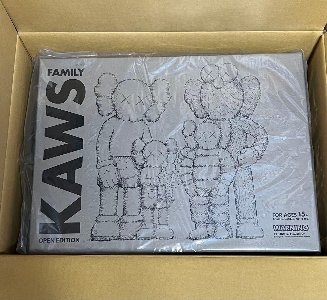 その他 KAWS FAMILY BROWN/BLUE/WHITE #1