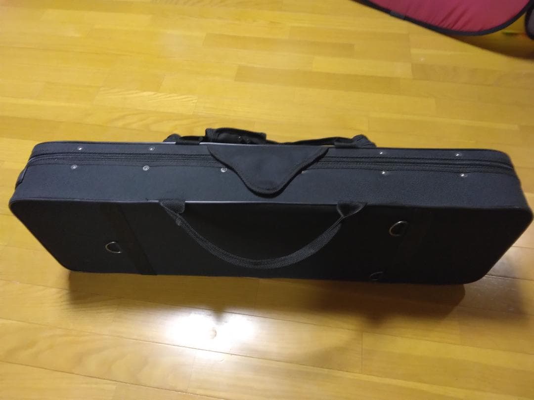 三線（沖縄三味線）入門用ケース付　付属品あり