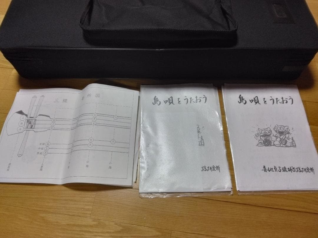 三線（沖縄三味線）入門用ケース付　付属品あり