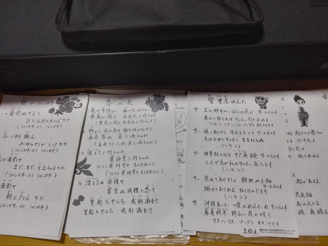 三線（沖縄三味線）入門用ケース付　付属品あり