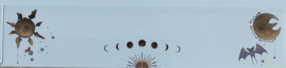 ポケモン 【空缶】【Eevee CoIIection】イーブィ✨コレクション～✨