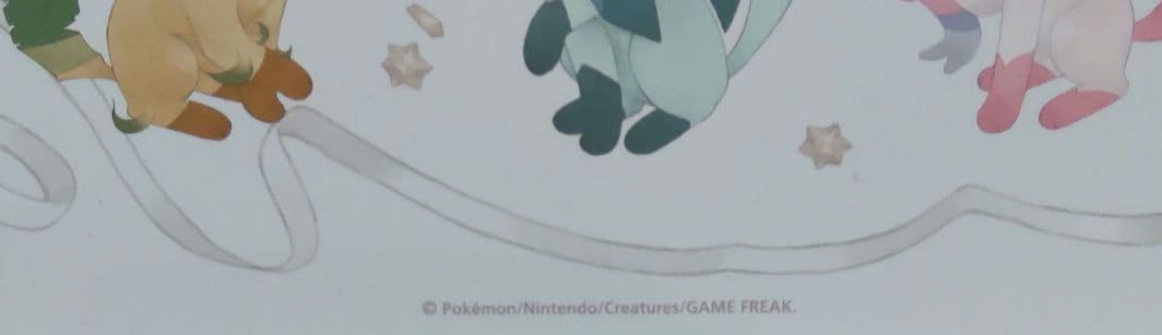 ポケモン 【空缶】【Eevee CoIIection】イーブィ✨コレクション～✨