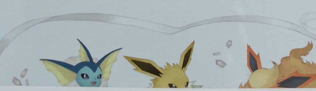 ポケモン 【空缶】【Eevee CoIIection】イーブィ✨コレクション～✨