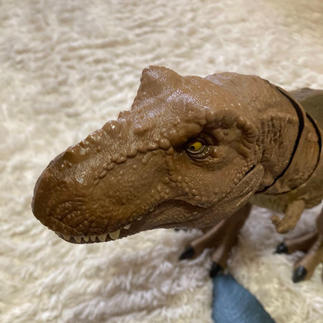 T レックス　モササウルス　セット