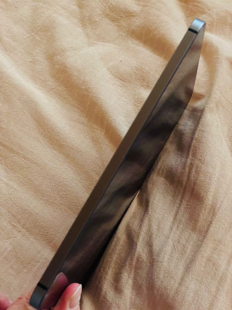 Apple iPad mini 6本体 wi-fi＋セルラー64GB