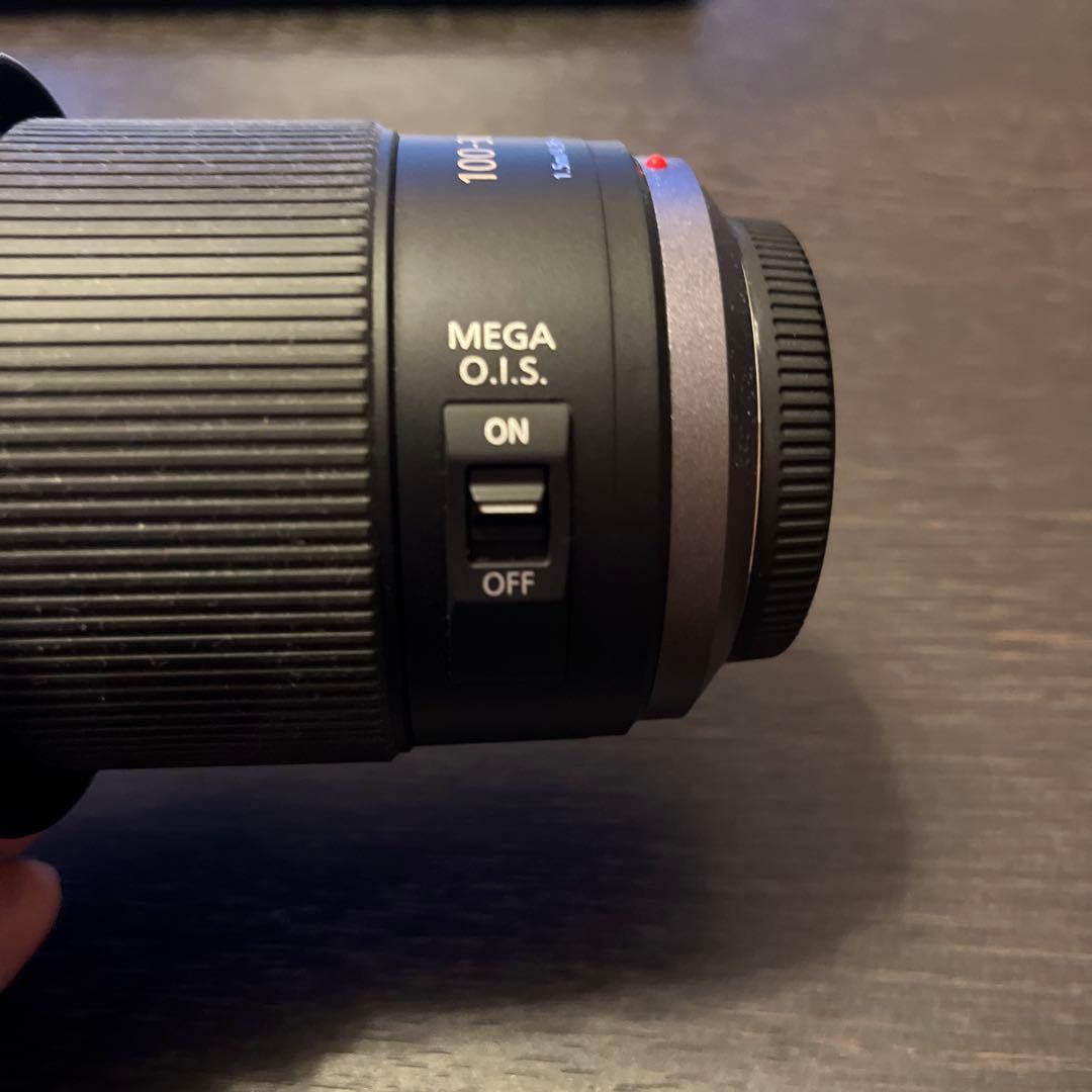 レンズ(ズーム) Panasonic LUMIX G VARIO 100-300mm