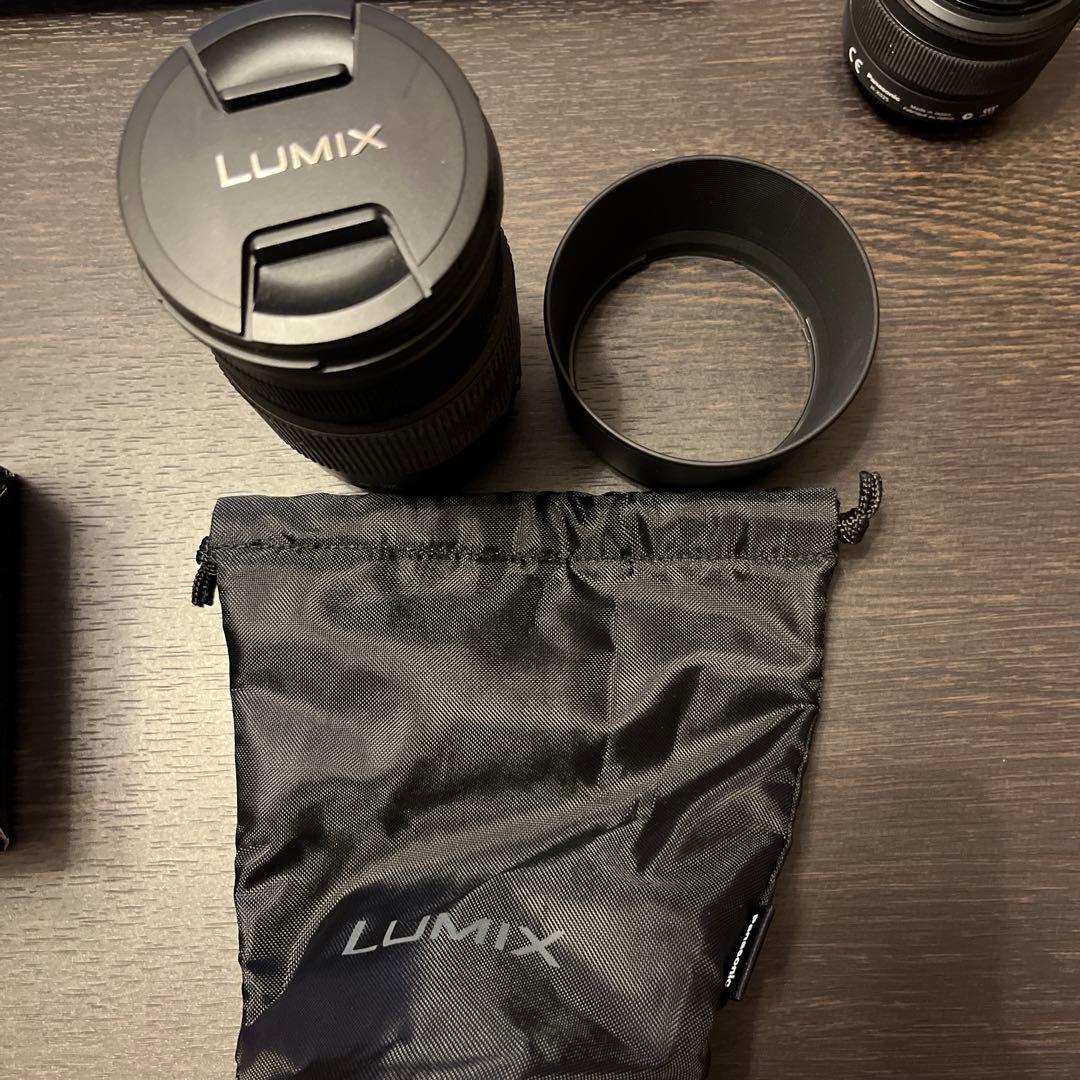 レンズ(ズーム) Panasonic LUMIX G VARIO 100-300mm