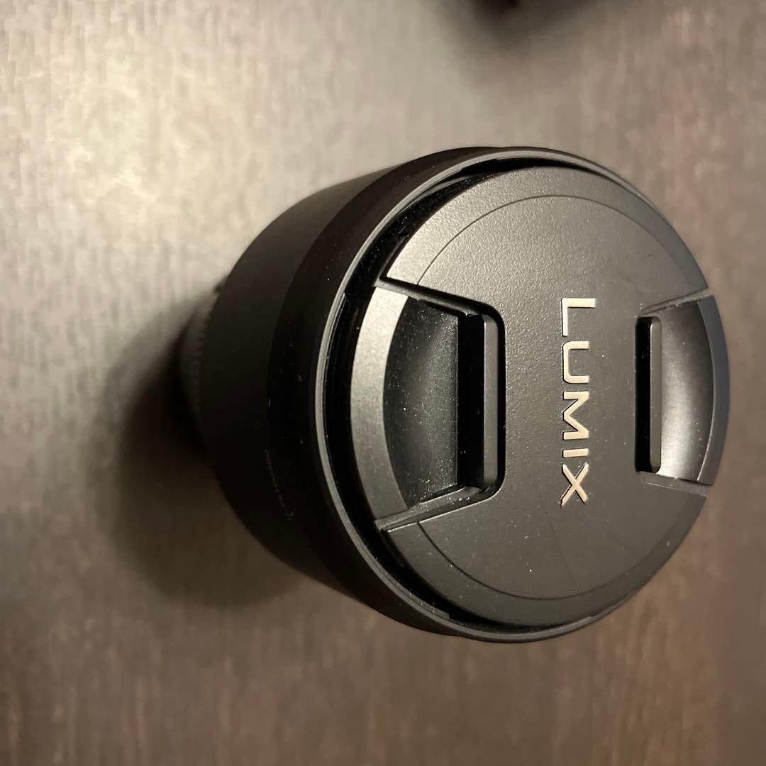 レンズ(ズーム) Panasonic LUMIX G VARIO 100-300mm