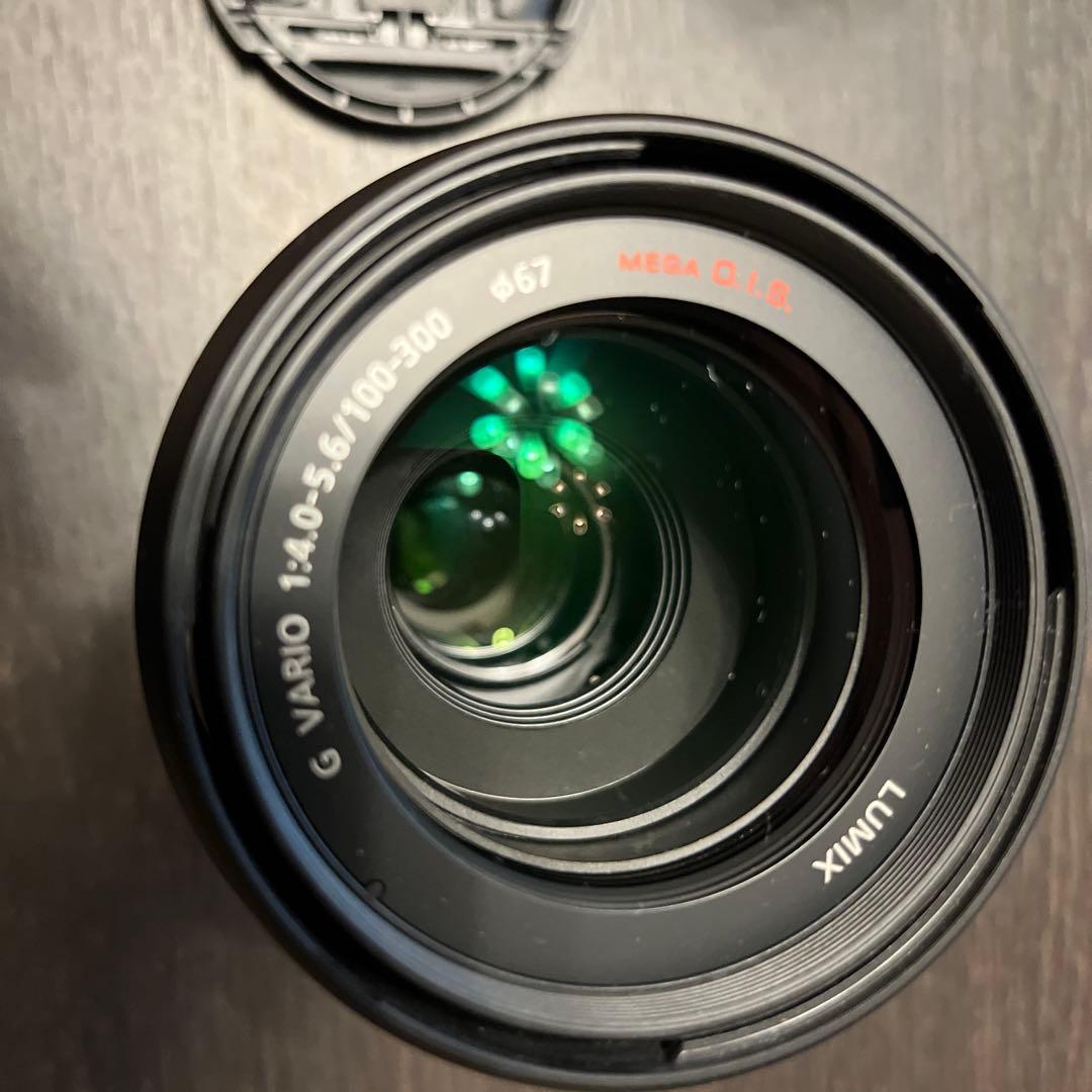 レンズ(ズーム) Panasonic LUMIX G VARIO 100-300mm