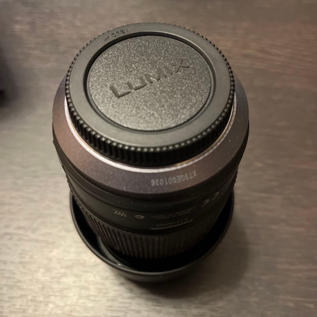 レンズ(ズーム) Panasonic LUMIX G VARIO 100-300mm