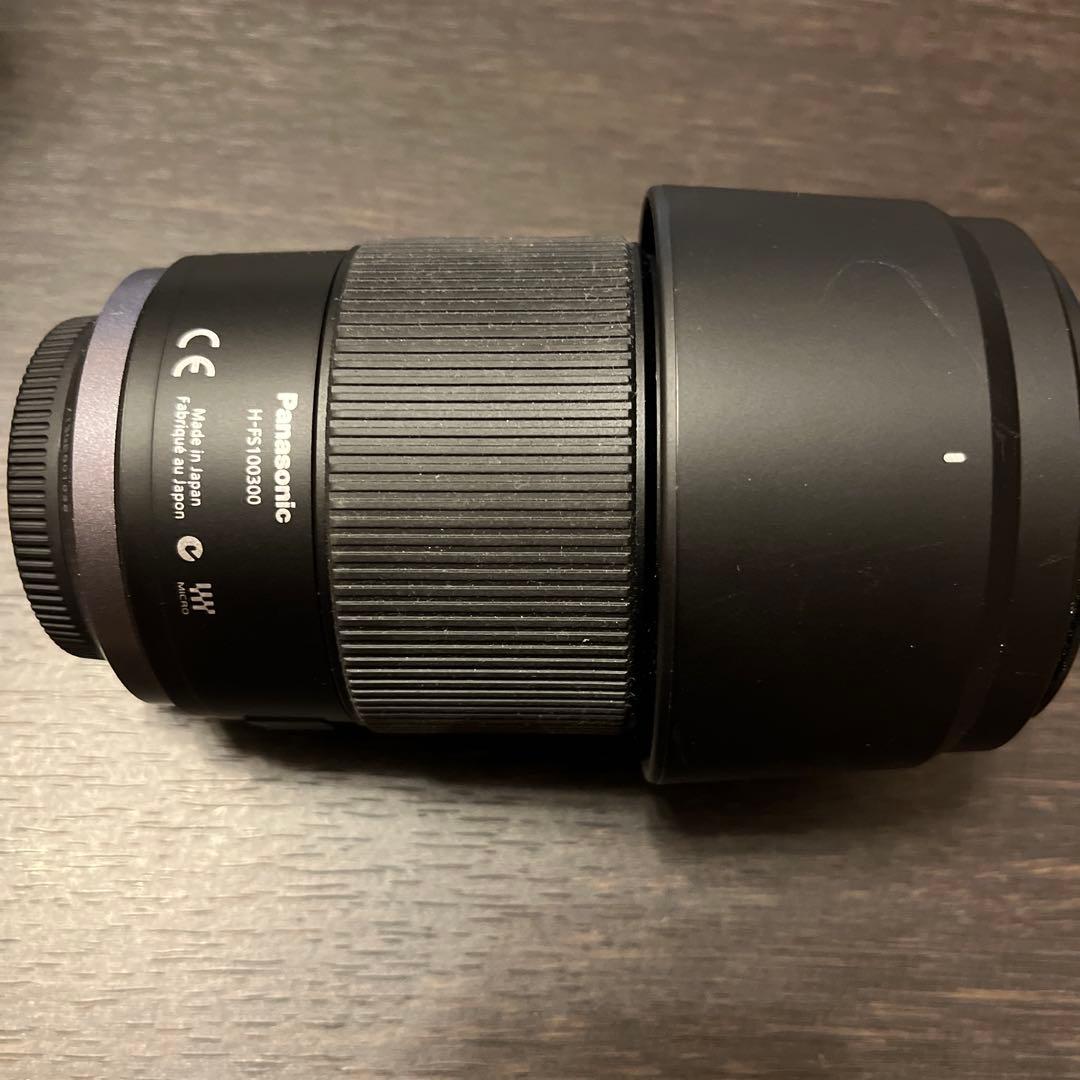 レンズ(ズーム) Panasonic LUMIX G VARIO 100-300mm