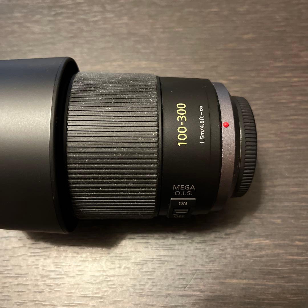レンズ(ズーム) Panasonic LUMIX G VARIO 100-300mm