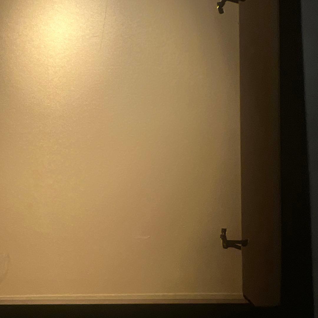 加山又造『レースをまとった人魚』真作希少エディション