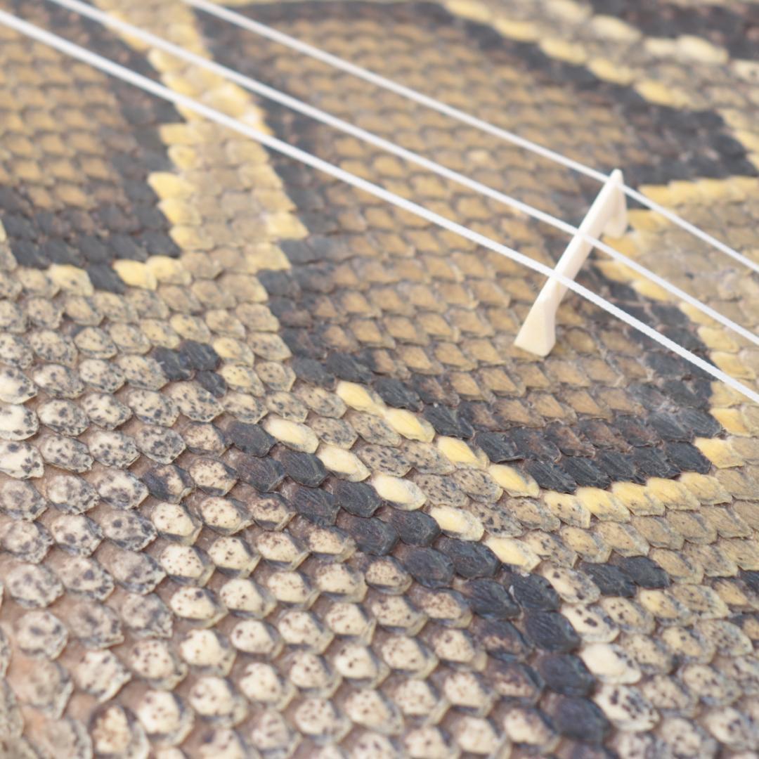 沖縄三線 蛇本皮 強化張り 民族楽器　琉球楽器　本体のみ