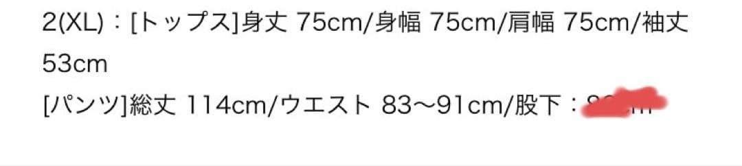 イルカな？スウェット【LL】 あいみょん ドルアパ ドルフィンアパート