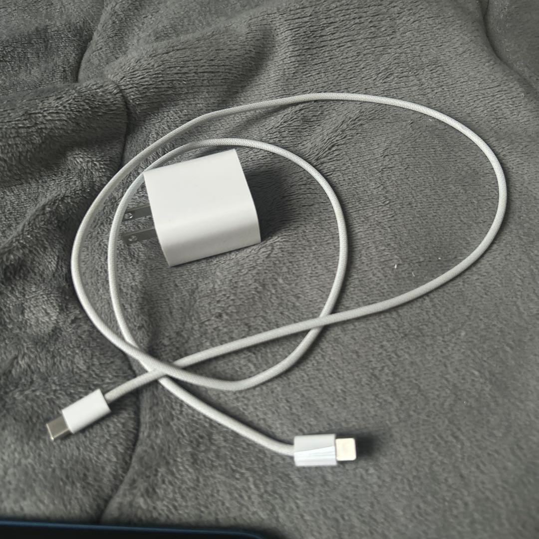 Apple iPad (第11世代) 11インチ ブルー 本体