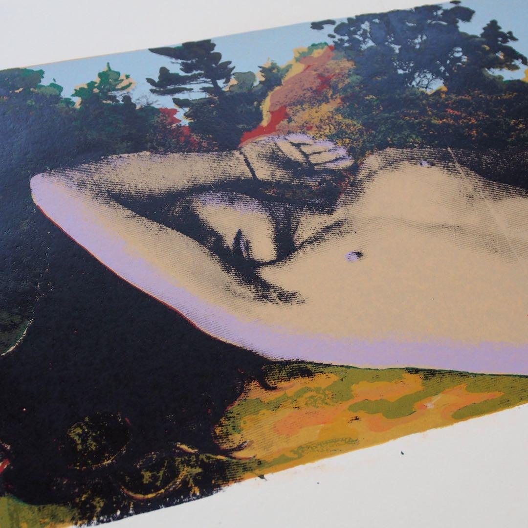 作品 シルクスクリーン アート Rock LP Virtigo 60s 70s