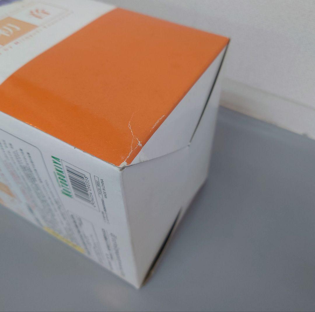 フィギュア　痕～きずあと～柏木梓＆柏木初音　コールドキャスト1/8製塗装済完成品