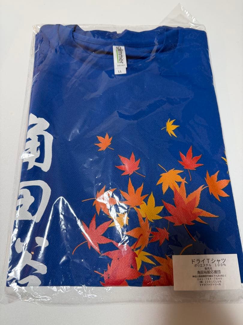 直筆サイン入り F1 VCARB時代 角田裕毅 選手 1/2スケール ヘルメット