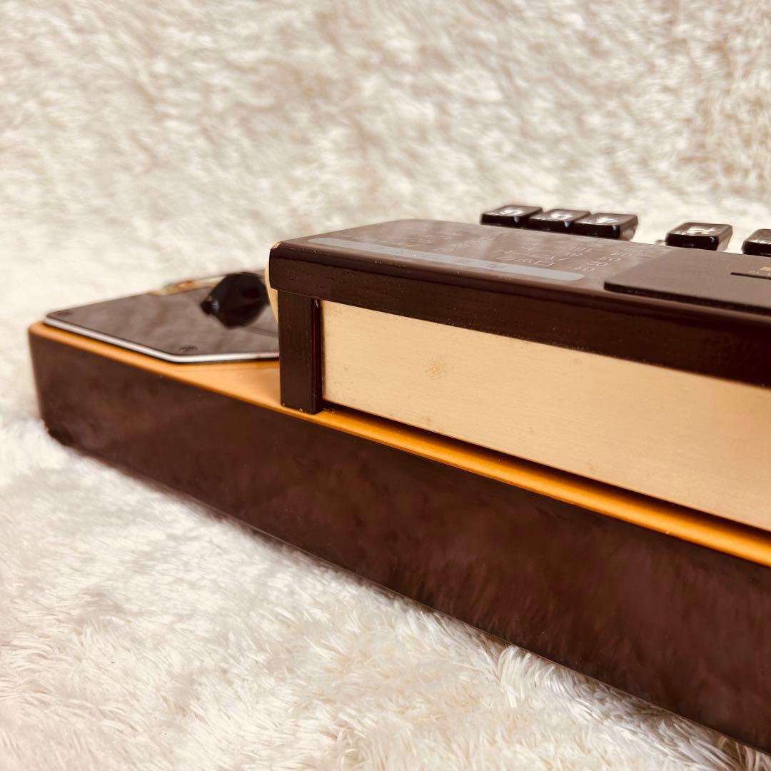 スズキ　SUZUKI 電子大正琴　TES-150 山びこ　伴奏機能付き