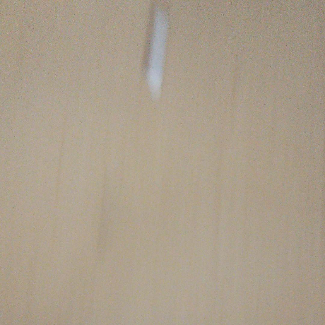 掛軸 墨絵   整理No.18