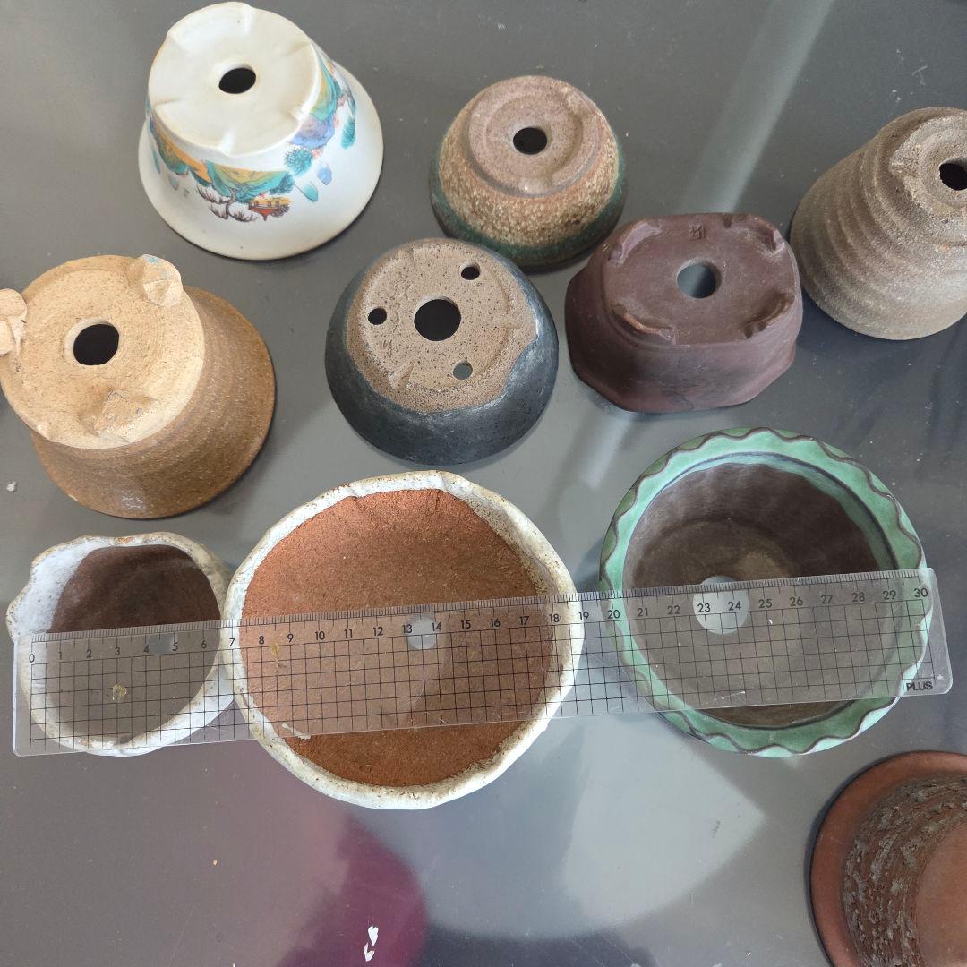 ミニ盆栽　山野草　陶器製小鉢②