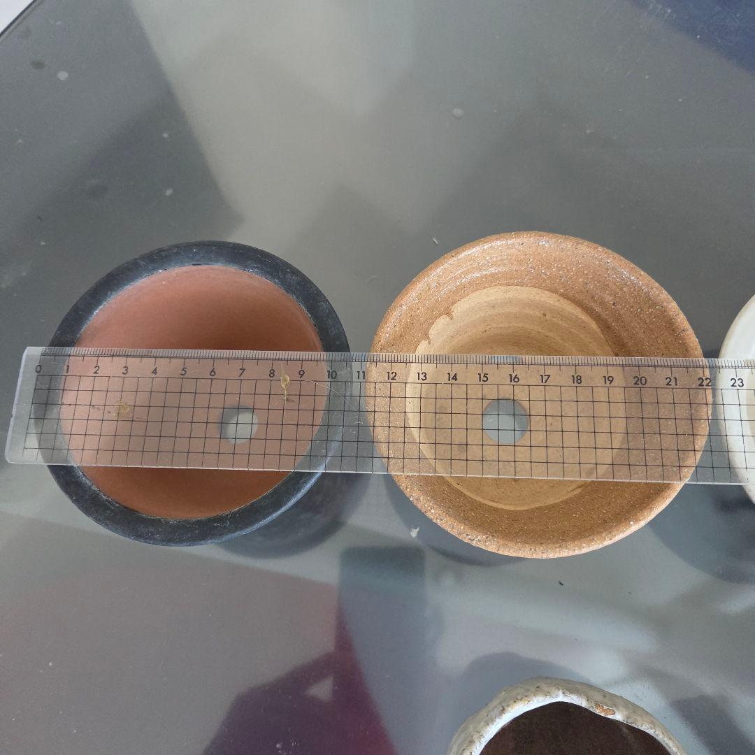 ミニ盆栽　山野草　陶器製小鉢②