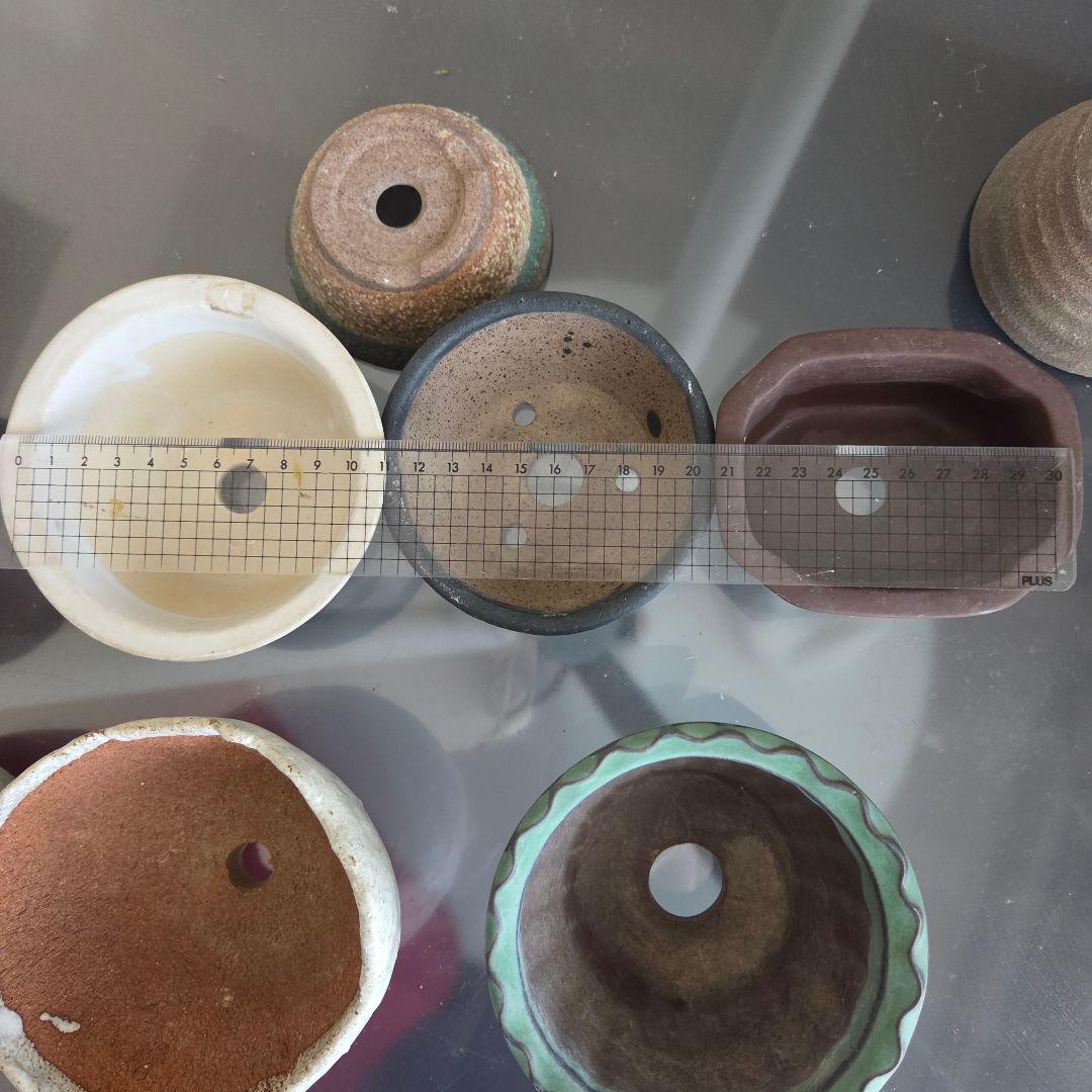 ミニ盆栽　山野草　陶器製小鉢②