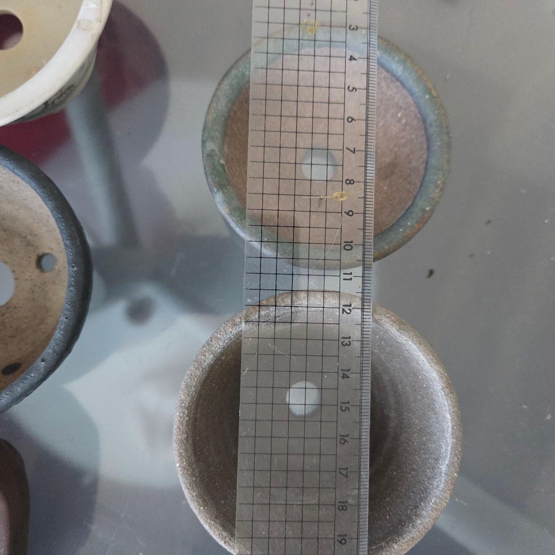 ミニ盆栽　山野草　陶器製小鉢②