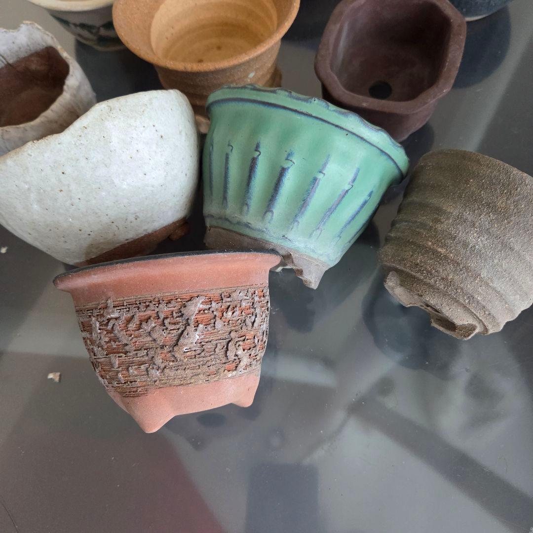 ミニ盆栽　山野草　陶器製小鉢②