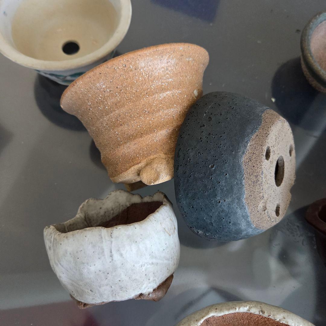 ミニ盆栽　山野草　陶器製小鉢②