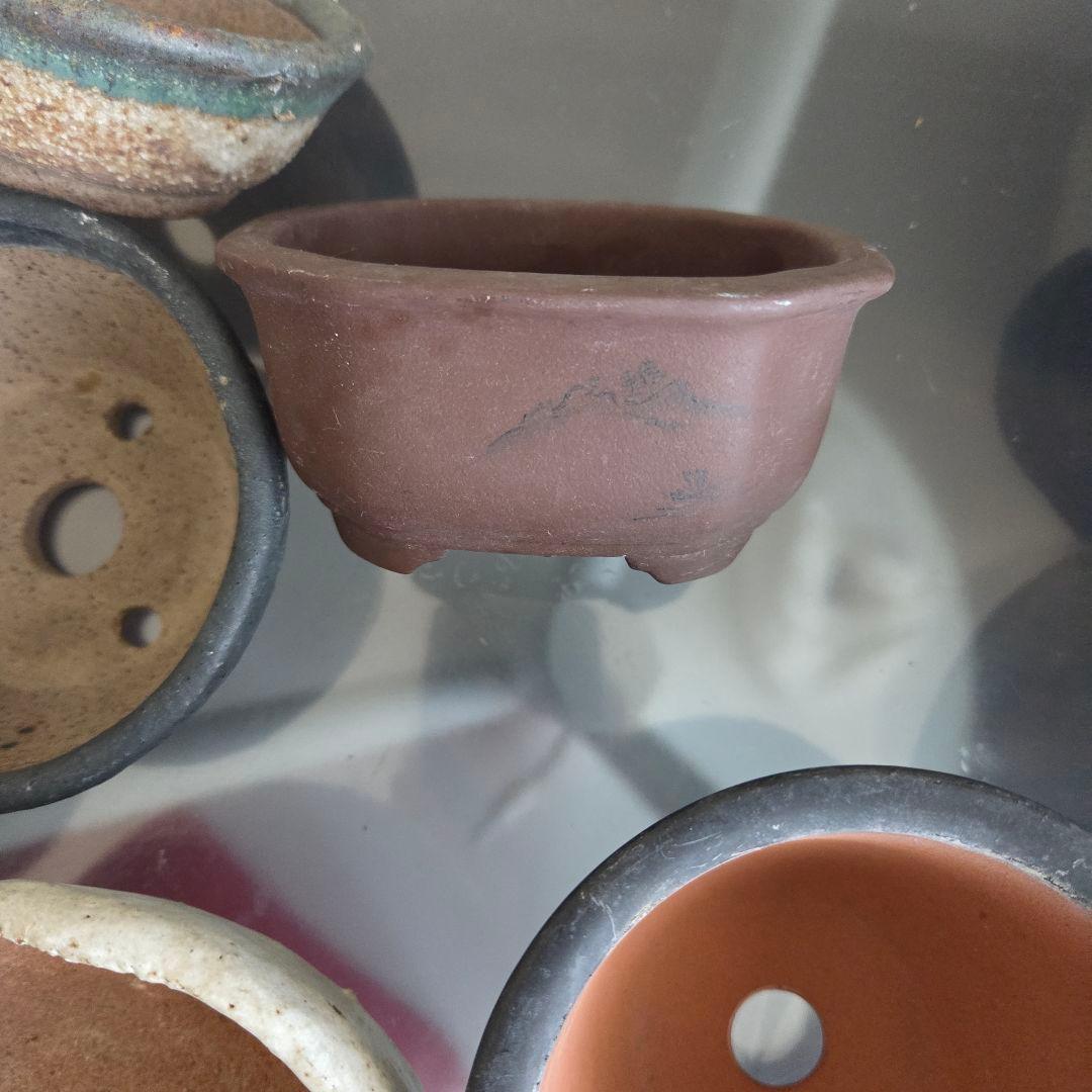 ミニ盆栽　山野草　陶器製小鉢②